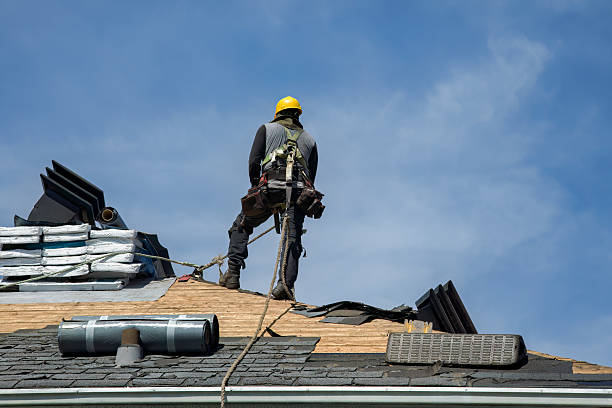 Professional Roof Replacement technician working in Finley, ND